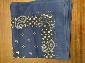 Snuff Handkerchief - Blue Paisley