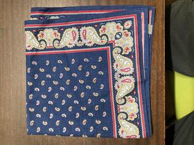 Snuff Handkerchief - Navy Paisley Border