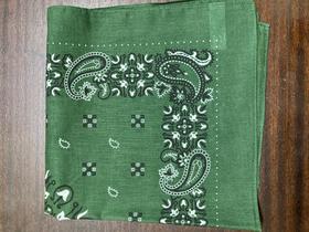 Snuff Handkerchief - Green Paisley