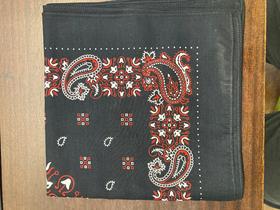 Snuff Handkerchief - Black Paisley