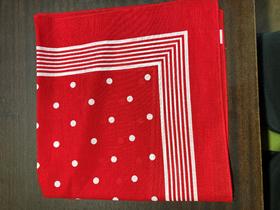 Snuff Handkerchief - Red Big Polka Dot