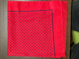 Snuff Handkerchief - Red / Navy Small Polka Dot