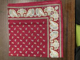 Snuff Handkerchief - Red Paisley Border